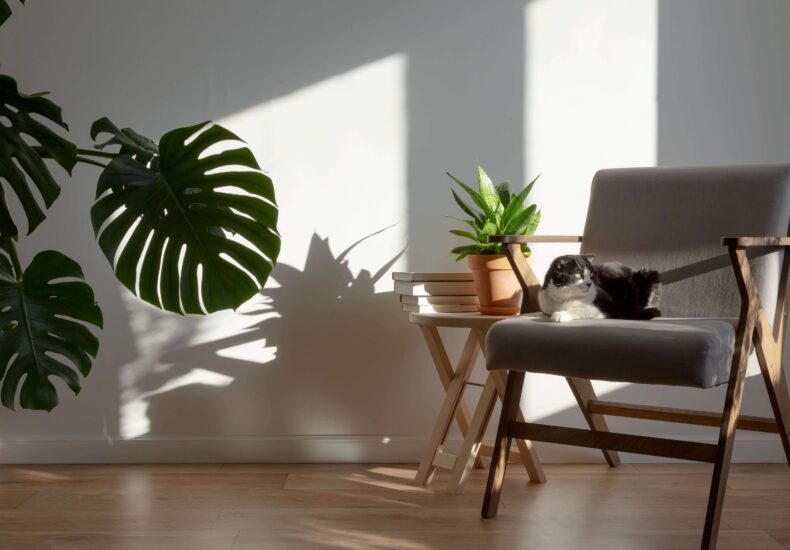 šilumos-siurblio-montavimas-haacs